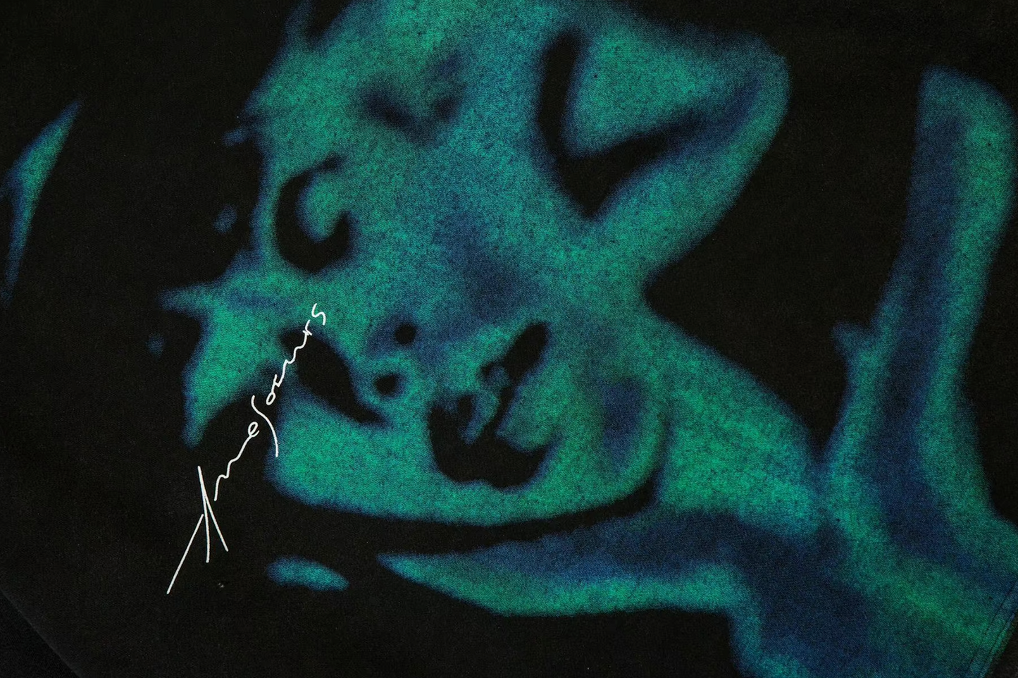 Y2K UNISEX picture sweatshirt