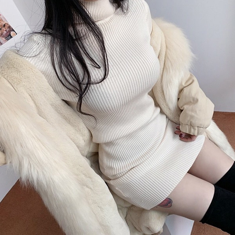 Turtleneck dress