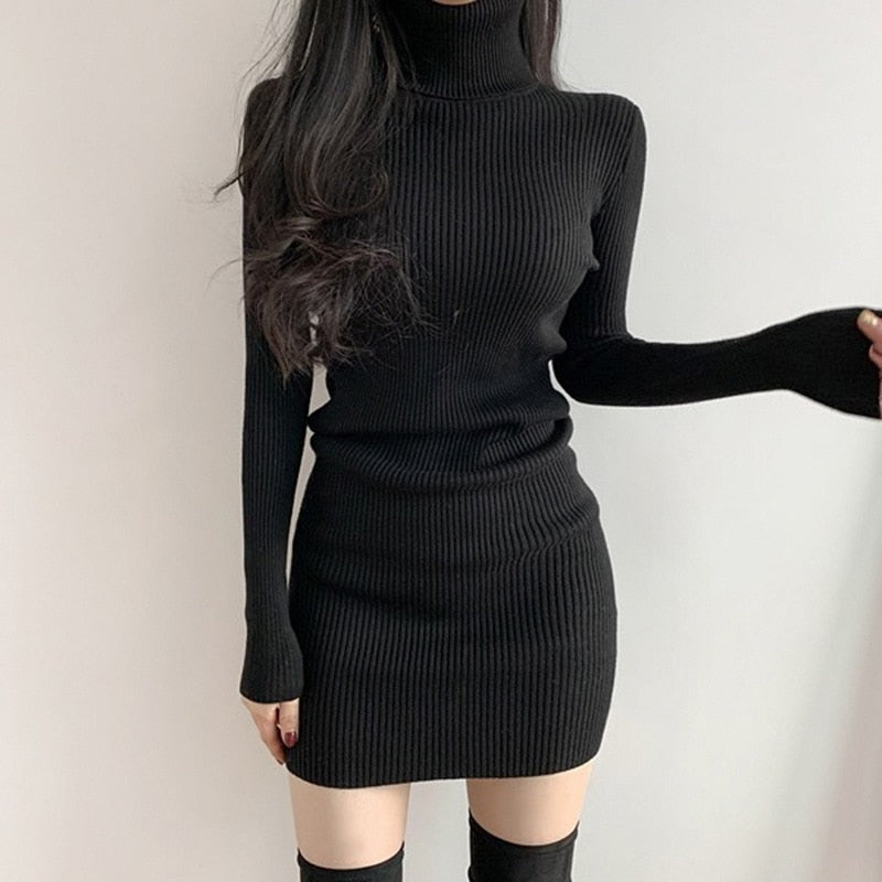 Turtleneck dress