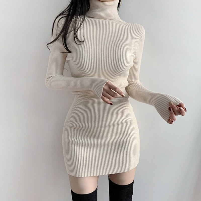 Turtleneck dress