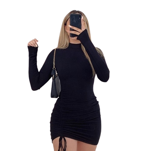 Turtleneck dress