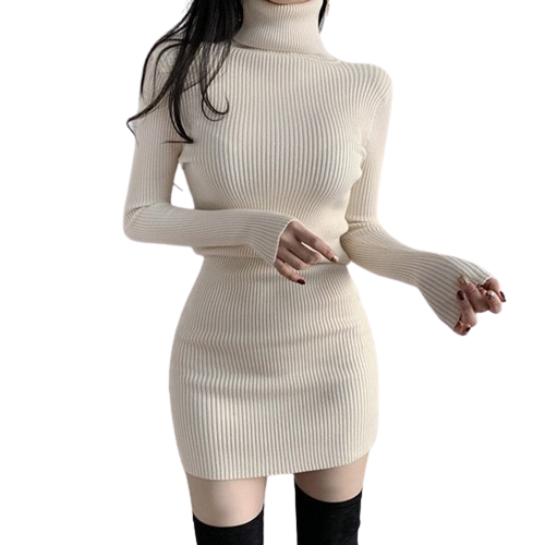 Turtleneck dress